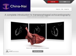 Echocardiography software trainingweb-based
