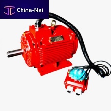 Smoke and heat exhaust ventilation system motor D1CS seriesthree-phaseasynchronous400 V