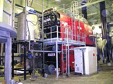 Biomass plant