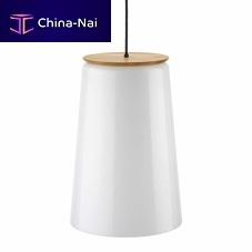 Hanging light fixture 100892LEDIP20commercial