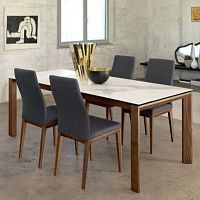 Contemporary table T80 FUSIONashmarblerectangular
