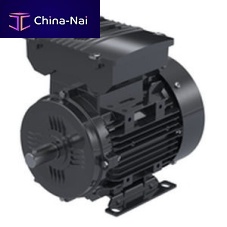 Single-phase motor 2MD063M seriesinduction220 VIP55