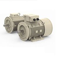 AC motor inductionIP55