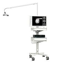 TMS neuronavigation system 3D