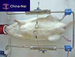Surgical retractor OWRF, WR-M, WR-Rfor animal researchfor micefor rats