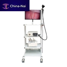 Video veterinary gastroscope BVI15 Vetfor small animalsfor large animalswith working channel