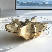 Contemporary coffee table INDRAglassteak baseround