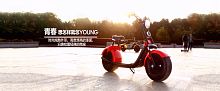 ��������������� "CityCoco Harley"