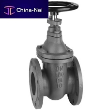 Gate valve 125HTwith handwheelblanketingdistribution