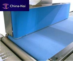 Lateral guide for conveyor ESA 314