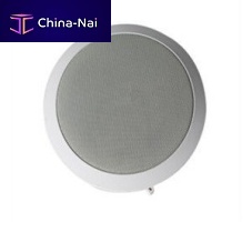 Ceiling loudspeaker JWA001