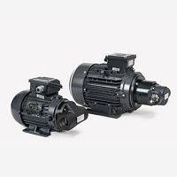 Gerotor pump BFP seriesoilelectricstationary