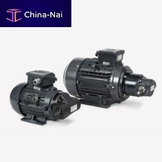 Gerotor pump BFP seriesoilelectricstationary