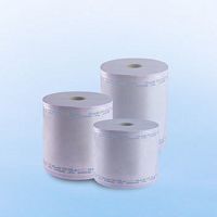 Sterilization pouch
