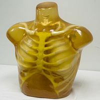 Radiography test phantom TX-A01for CT scanfor MRIthorax
