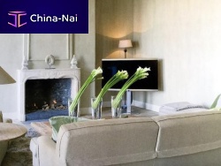 Gas fireplace built-inSingle-sidedclosed hearth