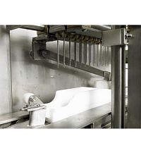 Fish brine injector machine BRINEMASTER