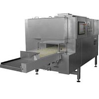 Depyrogenation tunnel 401for healthcare facilitiessterilizationfor the pharmaceutical industry