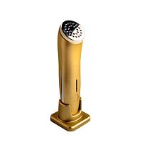 Skin rejuvenation phototherapy lamp TB-SK029hand-heldinfraredred light