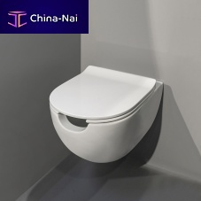 Wall-hung WC AP115Sceramicrimlessfor handicapped