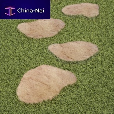 Stepping stone SEND 48