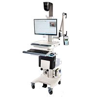 32-channel EEG system BRAIN QUICK® LTM256-channelambulatory EEGpediatric EEG