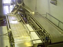 Sorting belt