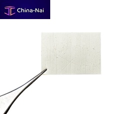 Buccal tissue matrix AGM-R-010050PCLabsorbable