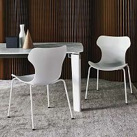 Contemporary chair Papilio Shellindoorfabricsolid wood base