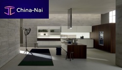 Contemporary kitchen ICONwood veneerislandhandleless