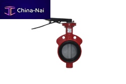 Butterfly valve 202x 0000 serieslever