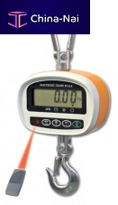 Digital crane scale DTEP series
