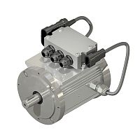 Three-phase motor BD series synchronousIP65IP67