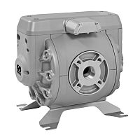 Diaphragm pump DF250 seriesoilfor dieselair