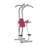 Leg raise chair with pull-up bar FIT EVO 1FE211