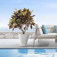 Aluminum plant pot ICOOteakconicalhome