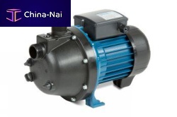 Centrifugal pump RIVA serieswaterelectricself-priming