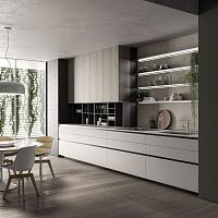 Contemporary kitchen EØwood veneeraluminumlaminate