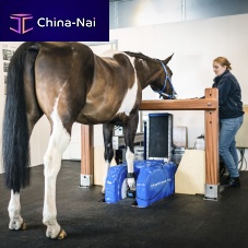Veterinary MRI system EQ2for equines