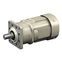 Three-phase gearmotor ALTAX NEO bevelconcentricsolid-shaft