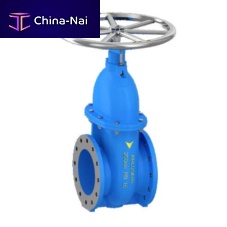 Gate valve with handwheelfor waterflange