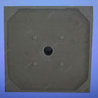 Water filter compressed airmembraneplate