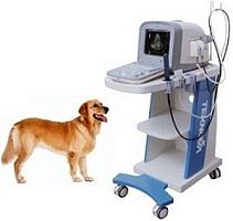 On-platform veterinary ultrasound system TH-100Vetmultipurpose