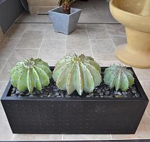 Metal planter rectangularcontemporaryoutdoor