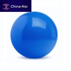Large size Pilates ball RH2 seriesadult